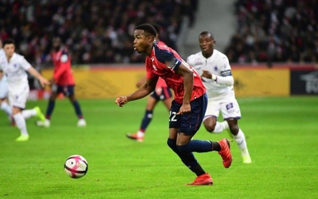 中国女篮球 中国女篮球