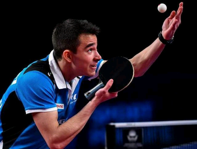 洲冠军级别 洲冠军级别