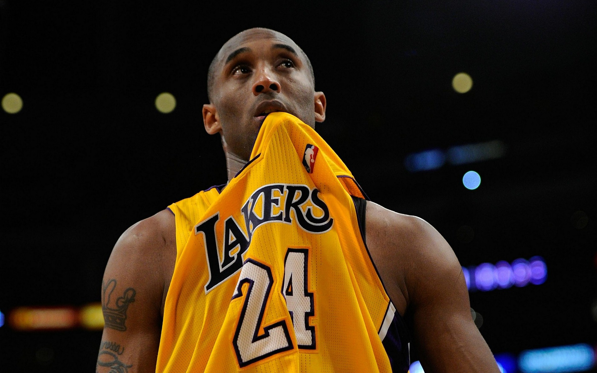 如今终于用 如今终于用