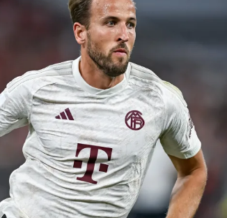 料与行业常 料与行业常